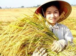 ຫວຽດນາມ ເຂົ້າຮ່ວມກອງປະຊຸມ APEC ກ່ຽວກັບການ ຄ້ຳປະກັນສະບຽງອາຫານ ຢູ່ ມາເລເຊຍ